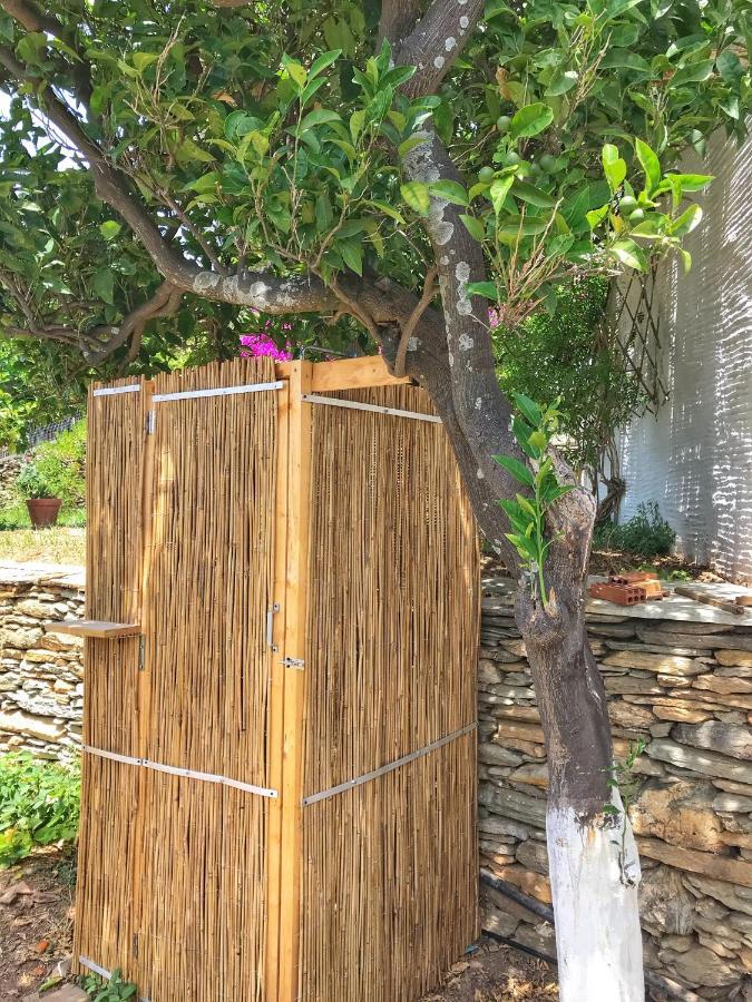 The Walnut Tree - Cycladic Getaway With Sea Views By Explore Andros Lámira Εξωτερικό φωτογραφία